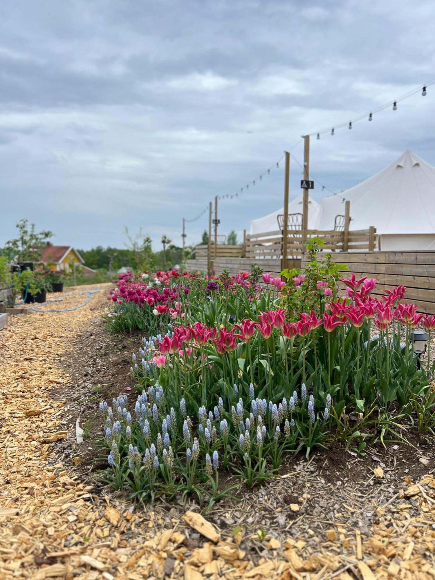 Hotel Vaettervy Glamping Habo Exterior foto