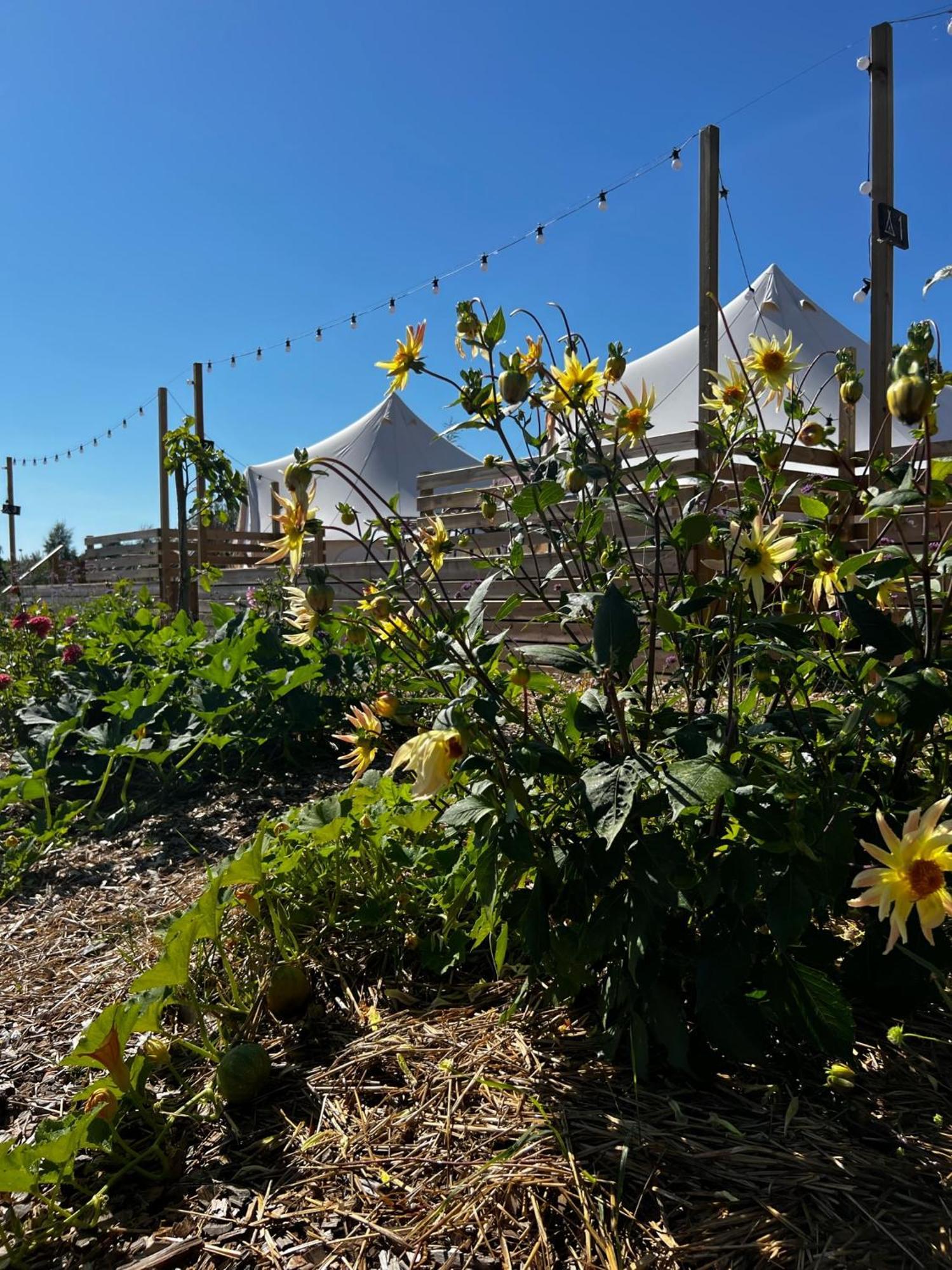 Hotel Vaettervy Glamping Habo Exterior foto